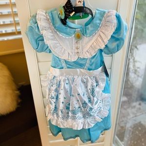 Disney Alice in Wonderland Costume (10) & Headband